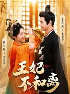 免费在线观看《王妃不和离》