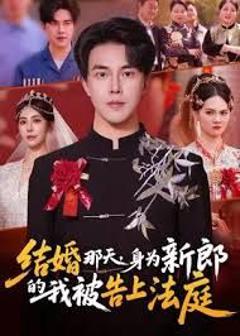 免费在线观看《结婚那天，身为新郎的我被告上法庭》