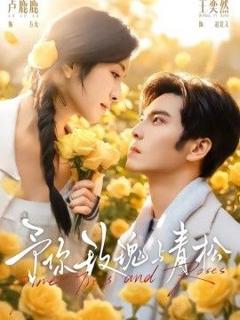 免费在线观看《予你玫瑰与青松》
