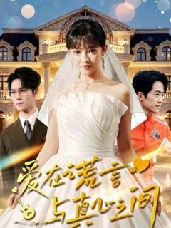 免费在线观看《爱在谎言与真心之间》