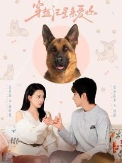 免费在线观看《穿越汪星来爱你》