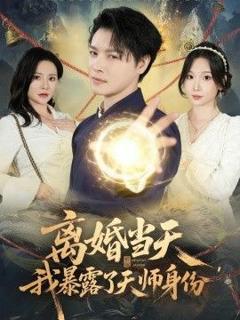 免费在线观看《离婚当天，我暴露了天师身份》
