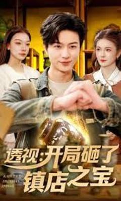 免费在线观看《透视：开局砸了镇店之宝》