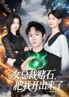 免费在线观看《女总裁赌石，把我开出来了》