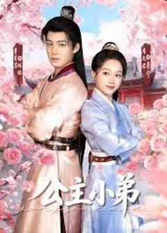 免费在线观看《公主小弟》