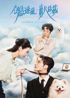 免费在线观看《心愿速递之萌犬总裁》
