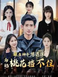 免费在线观看《操盘神手想退休，命犯桃花挡不住》
