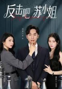 免费在线观看《反击吧！苏小姐》