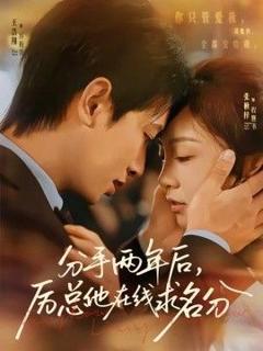 免费在线观看《分手两年后，厉总他在线求名分》