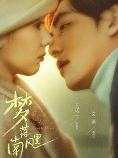 免费在线观看《梦落南风里》