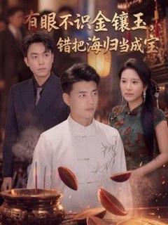 免费在线观看《有眼不识金镶玉错把海归当成宝》