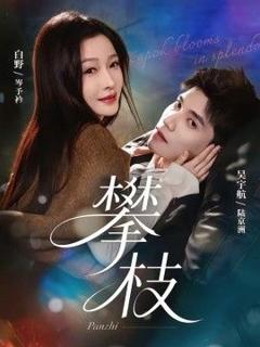 免费在线观看《攀枝》