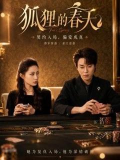 免费在线观看《狐狸的春天》