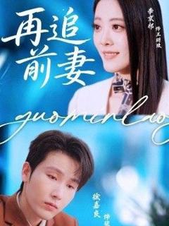 再追前妻