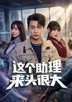免费在线观看《这个助理来头很大》
