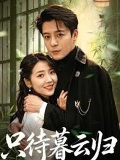 免费在线观看《只待暮云归》