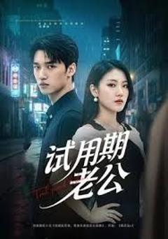 免费在线观看《试用期老公》