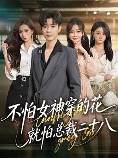 免费在线观看《不怕女神穿的花，就怕总裁二十八》