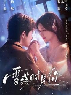 免费在线观看《雪落时见你》