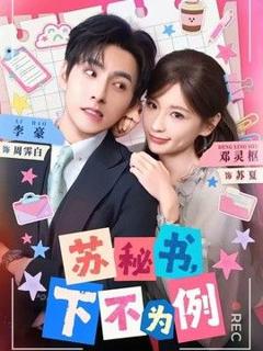 免费在线观看《苏秘书，下不为例》