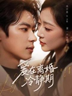 免费在线观看《爱在离婚冷静期》