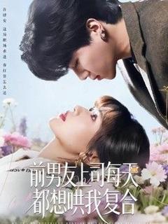 免费在线观看《前男友上司每天都想哄我复合》