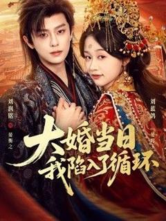 免费在线观看《大婚当日，我陷入了循环》
