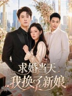 免费在线观看《求婚当天我换了新娘》
