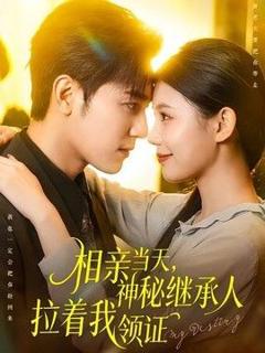 免费在线观看《相亲当天，神秘继承人拉着我领证》
