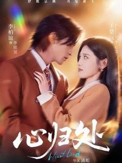 免费在线观看《心归处》