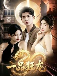 免费在线观看《一品狂龙》