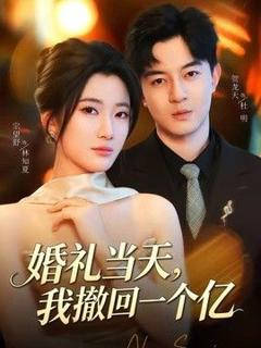 免费在线观看《婚礼当天，我撤回一个亿》