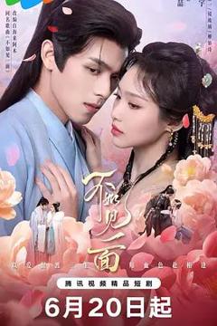 免费在线观看完整版大陆剧《不如见一面》