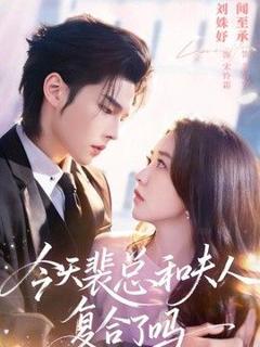免费在线观看《今天裴总和夫人复合了吗》