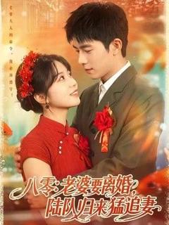 免费在线观看《八零：老婆要离婚，陆队归来猛追妻》