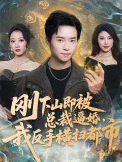 免费在线观看《刚下山即被总裁逼婚，我反手横扫都市》