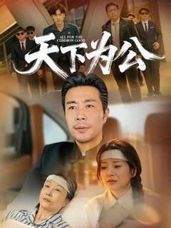 免费在线观看《天下为公》