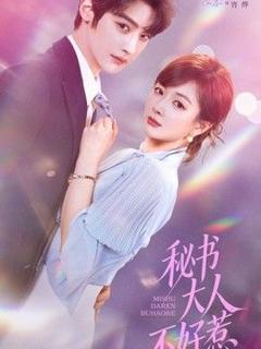免费在线观看《秘书大人不好惹》