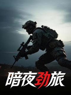 免费在线观看《暗夜劲旅》