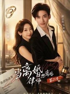 免费在线观看《当离婚律师想离婚第二季》