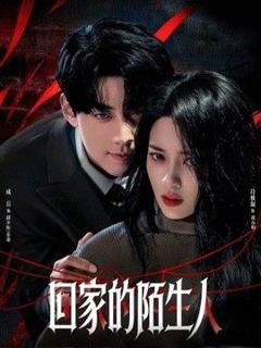 免费在线观看《回家的陌生人》
