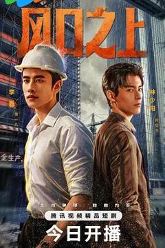 免费在线观看完整版大陆剧《风口之上》