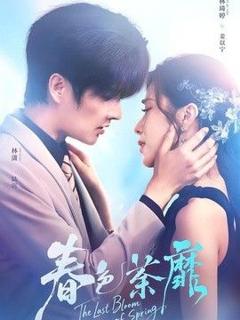 免费在线观看《春色荼靡》