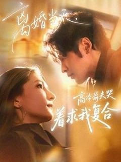 免费在线观看《离婚当天，高冷前夫哭着求我复合》