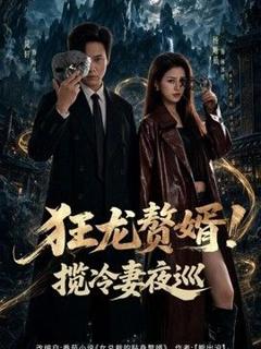 免费在线观看《狂龙赘婿！揽冷妻夜巡》