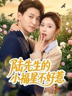 免费在线观看《陆先生的小福星不好惹》