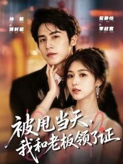 免费在线观看《被甩当天，我和老板领了证》