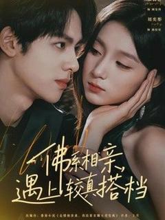 免费在线观看《佛系相亲，遇上较真搭档》