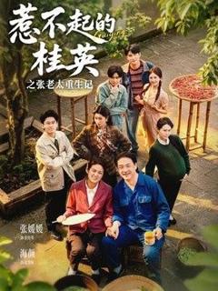 免费在线观看《惹不起的桂英之张老太重生记》