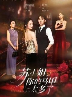 免费在线观看《苏小姐，你的马甲太多了》